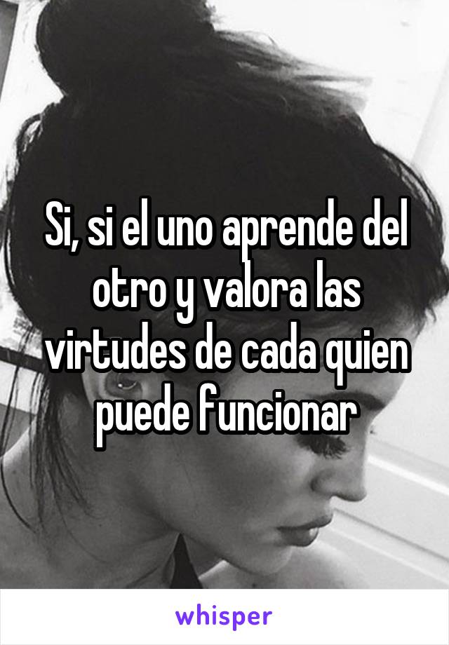 Si, si el uno aprende del otro y valora las virtudes de cada quien puede funcionar