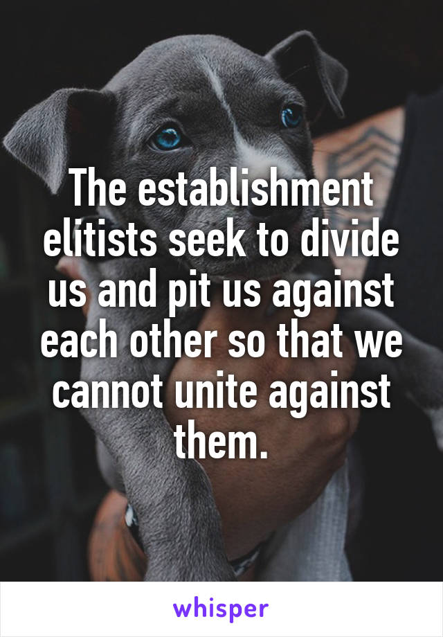 The establishment elitists seek to divide us and pit us against each other so that we cannot unite against them.