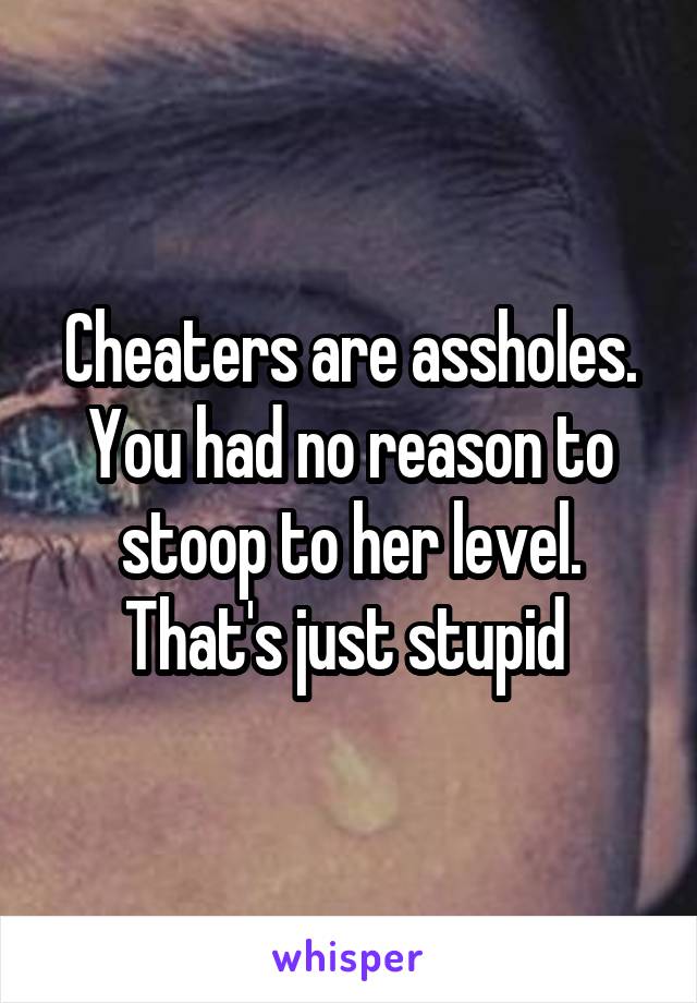 Cheaters are assholes. You had no reason to stoop to her level. That's just stupid 