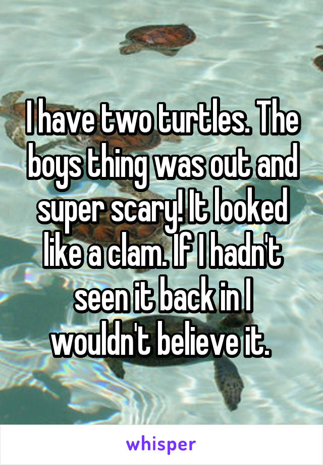 I have two turtles. The boys thing was out and super scary! It looked like a clam. If I hadn't seen it back in I wouldn't believe it. 