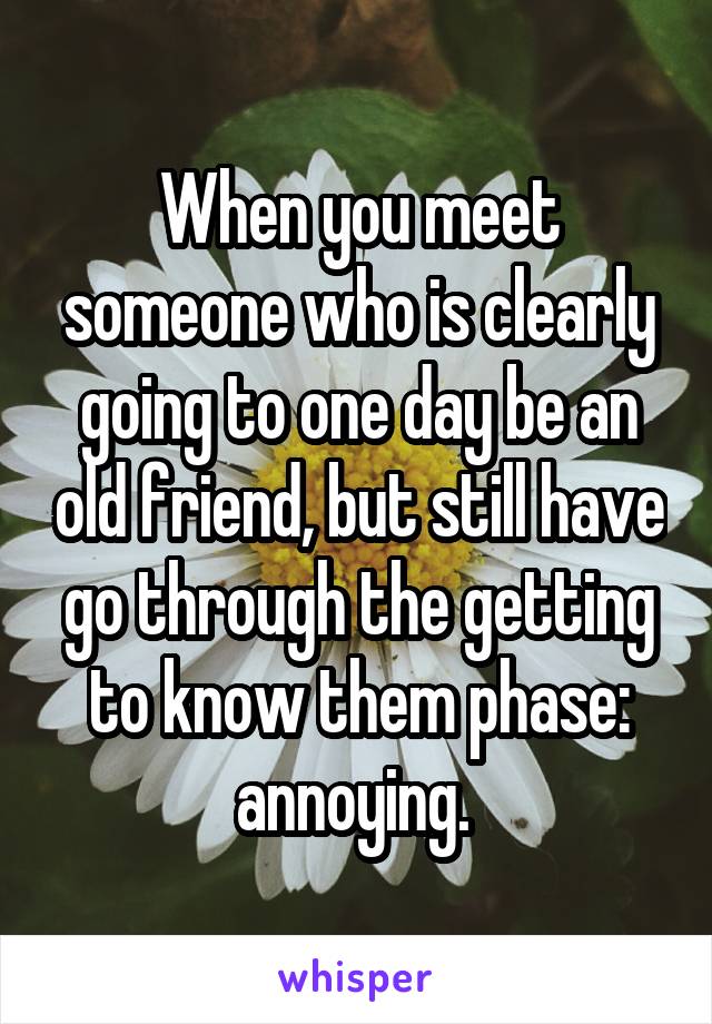 When you meet someone who is clearly going to one day be an old friend, but still have go through the getting to know them phase: annoying. 