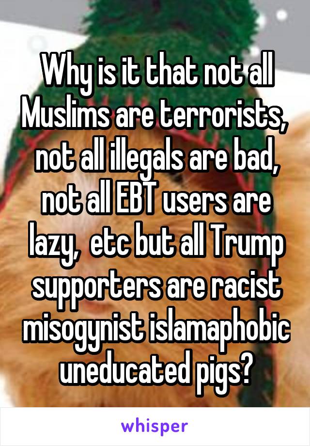 Why is it that not all Muslims are terrorists,  not all illegals are bad, not all EBT users are lazy,  etc but all Trump supporters are racist misogynist islamaphobic uneducated pigs?