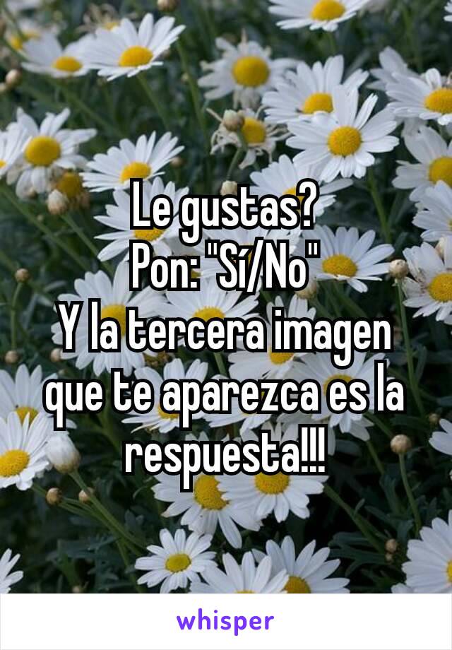 Le gustas?
Pon: "Sí/No"
Y la tercera imagen que te aparezca es la respuesta!!!