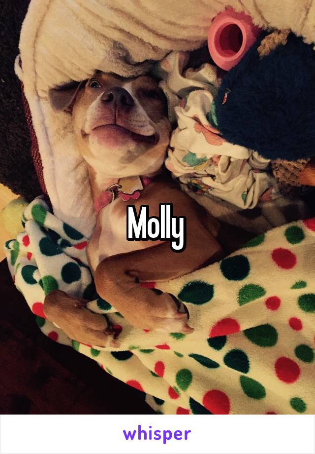 Molly 