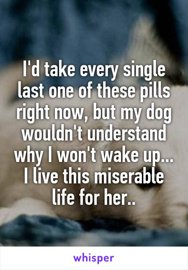 I'd take every single last one of these pills right now, but my dog wouldn't understand why I won't wake up...
I live this miserable life for her..