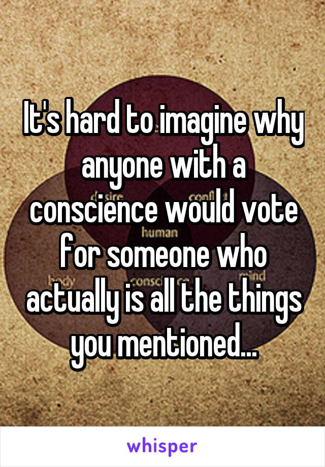 It's hard to imagine why anyone with a conscience would vote for someone who actually is all the things you mentioned...