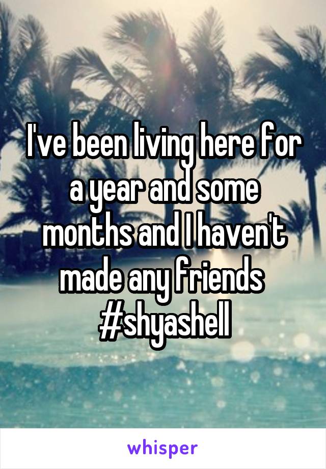 I've been living here for a year and some months and I haven't made any friends 
#shyashell