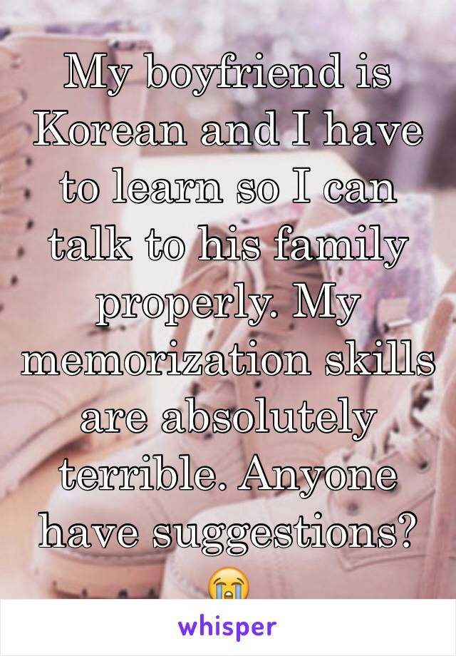 My boyfriend is Korean and I have to learn so I can talk to his family properly. My memorization skills are absolutely terrible. Anyone have suggestions? 😭