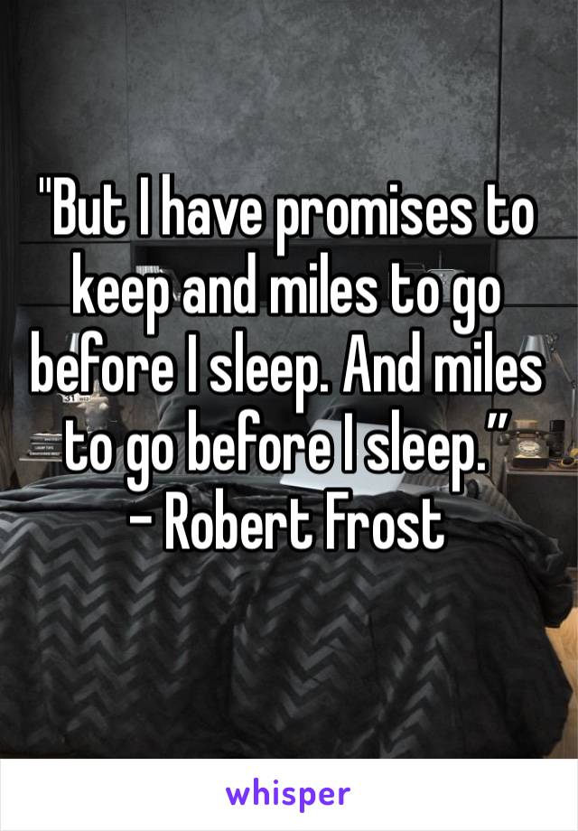 "But I have promises to keep and miles to go before I sleep. And miles to go before I sleep.”
- Robert Frost
