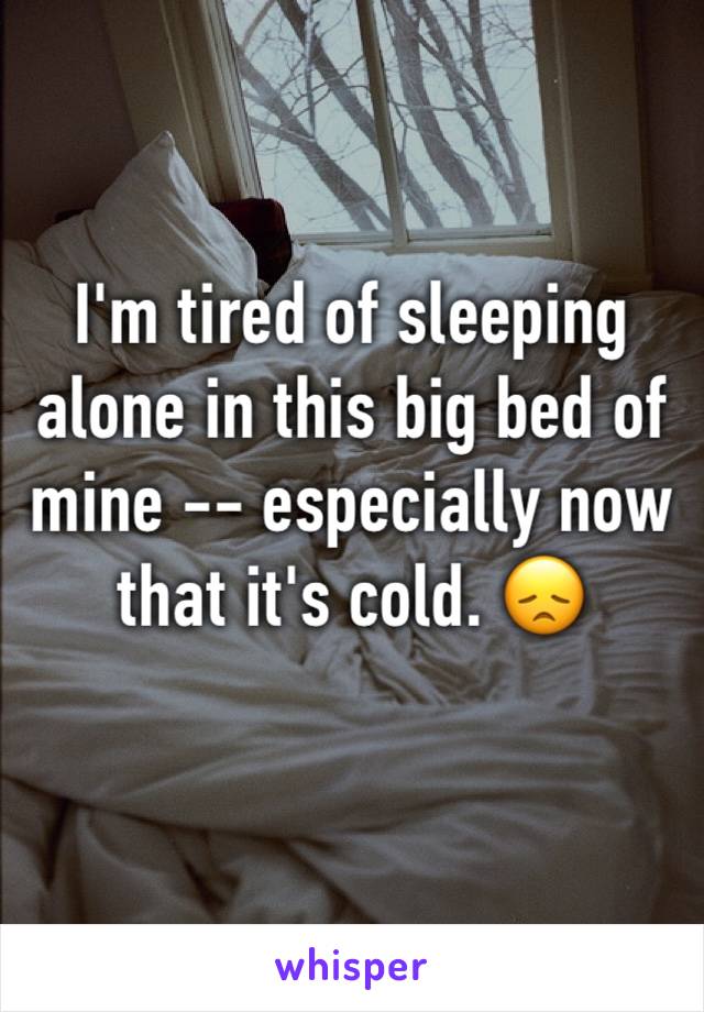 I'm tired of sleeping alone in this big bed of mine -- especially now that it's cold. 😞