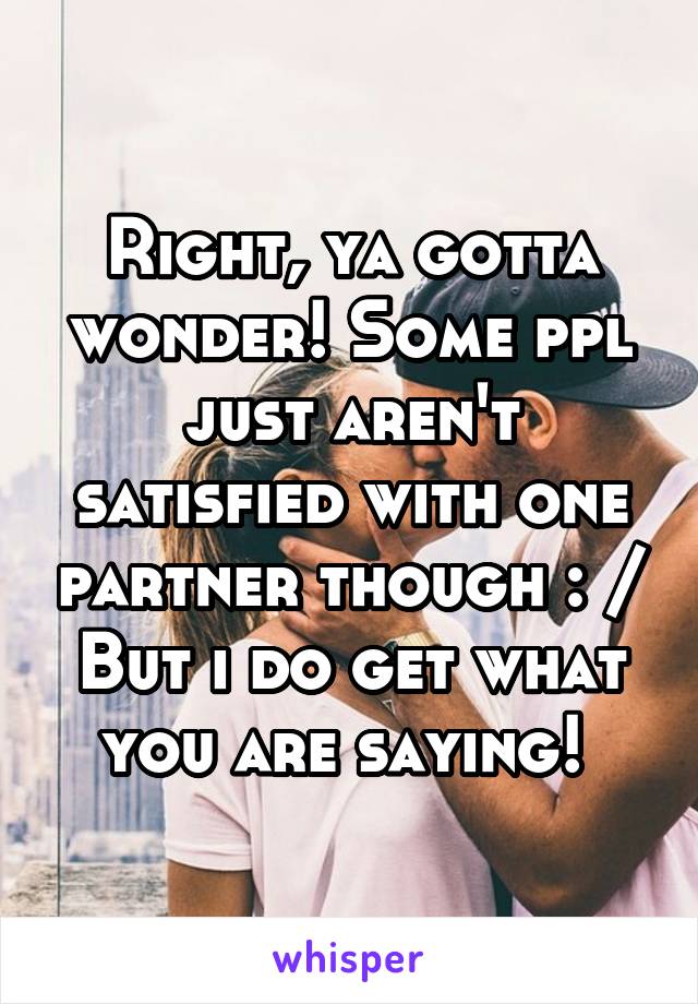 Right, ya gotta wonder! Some ppl just aren't satisfied with one partner though : / But i do get what you are saying! 