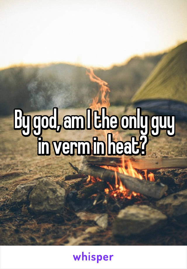 By god, am I the only guy in verm in heat? 