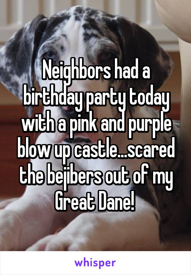 Neighbors had a birthday party today with a pink and purple blow up castle...scared the bejibers out of my Great Dane! 