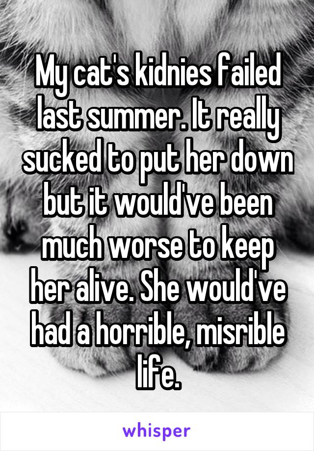 My cat's kidnies failed last summer. It really sucked to put her down but it would've been much worse to keep her alive. She would've had a horrible, misrible life.