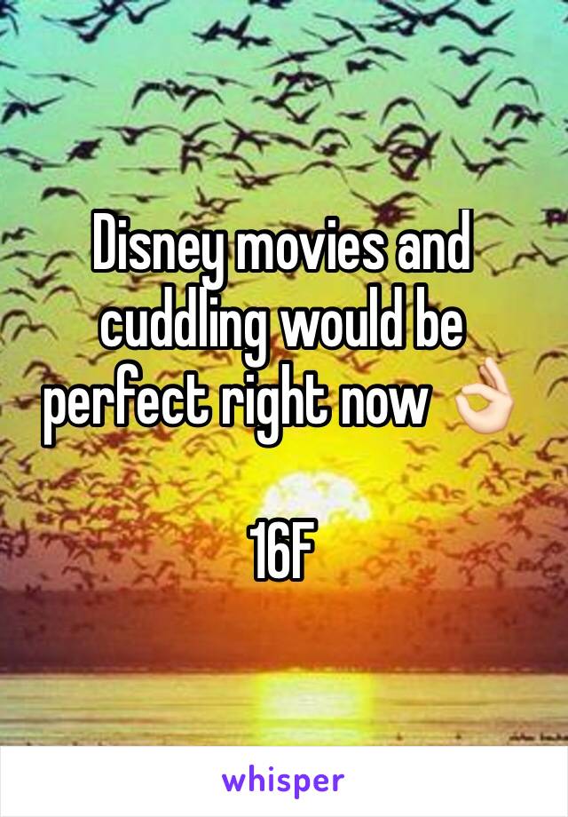 Disney movies and cuddling would be perfect right now 👌🏻 

16F