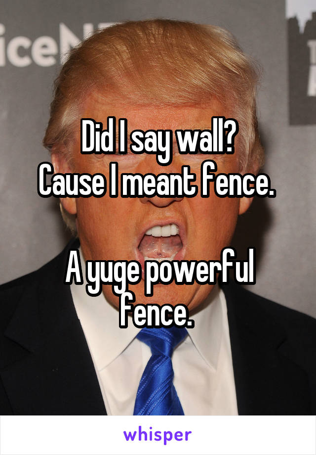 Did I say wall?
Cause I meant fence. 

A yuge powerful fence. 