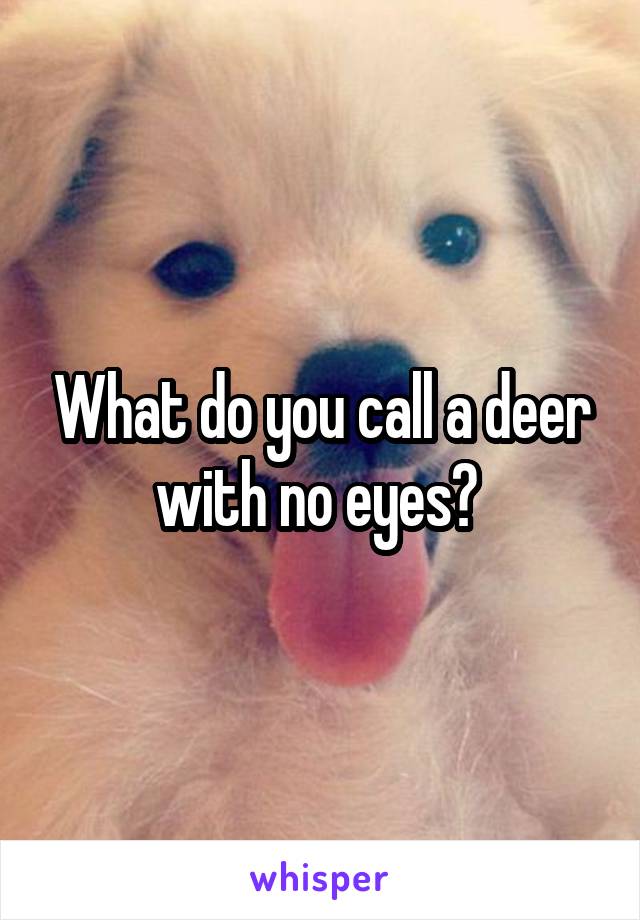 What do you call a deer with no eyes? 