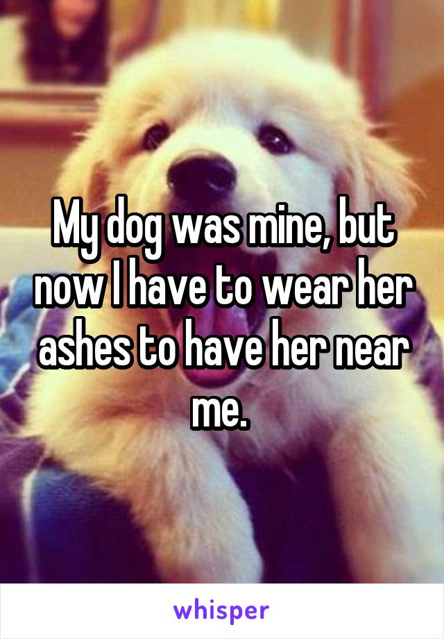 My dog was mine, but now I have to wear her ashes to have her near me. 