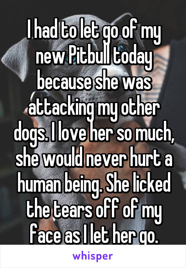 I had to let go of my new Pitbull today because she was attacking my other dogs. I love her so much, she would never hurt a human being. She licked the tears off of my face as I let her go.