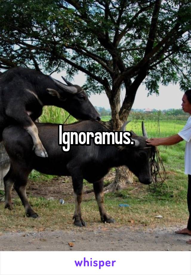 Ignoramus.