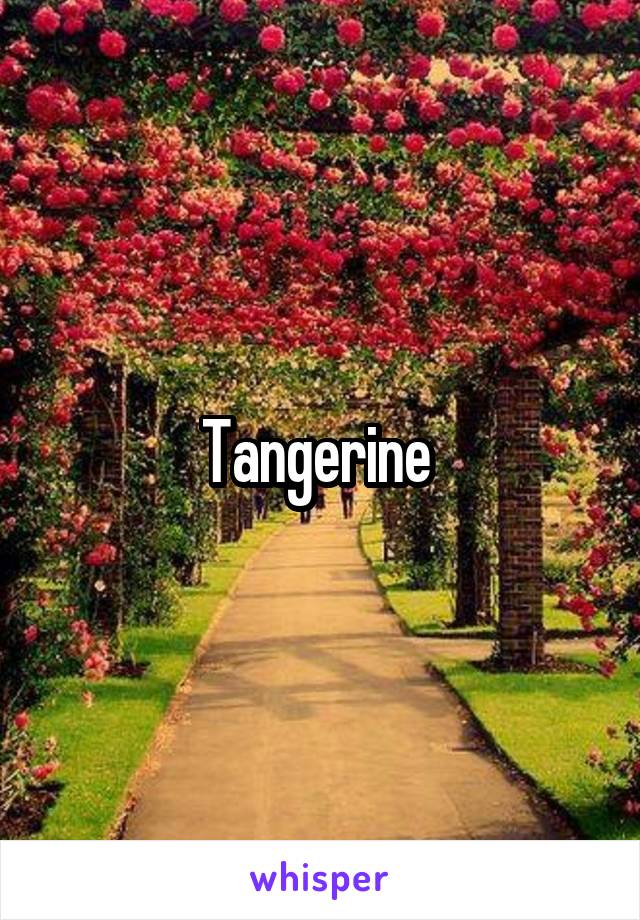 Tangerine 