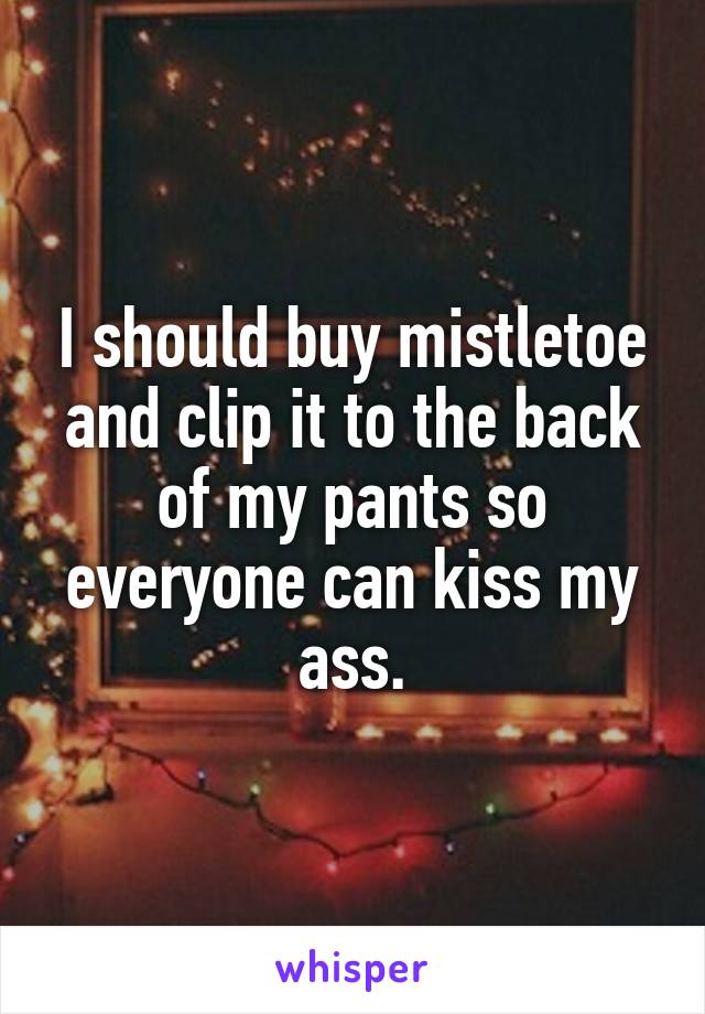 I should buy mistletoe and clip it to the back of my pants so everyone can kiss my ass.