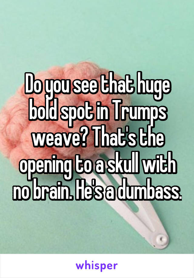 Do you see that huge bold spot in Trumps weave? That's the opening to a skull with no brain. He's a dumbass.