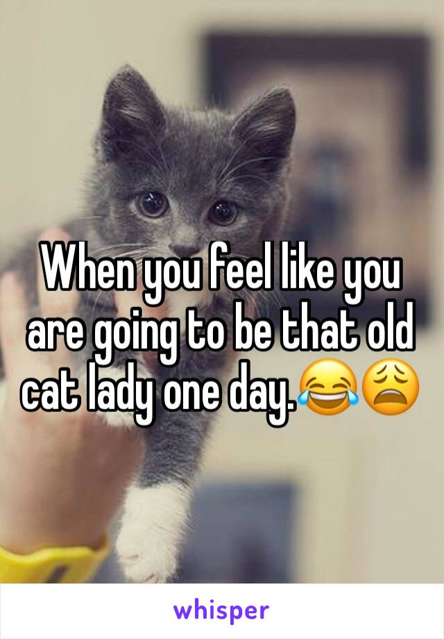 When you feel like you are going to be that old cat lady one day.😂😩