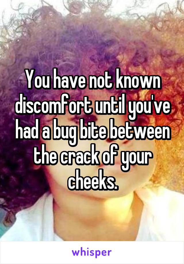 You have not known discomfort until you've had a bug bite between the crack of your cheeks.