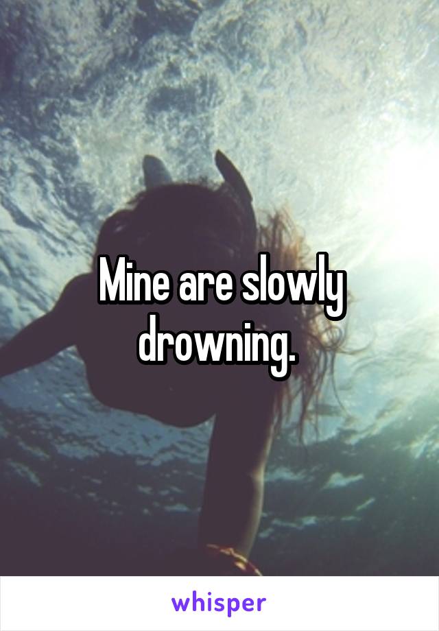 Mine are slowly drowning. 