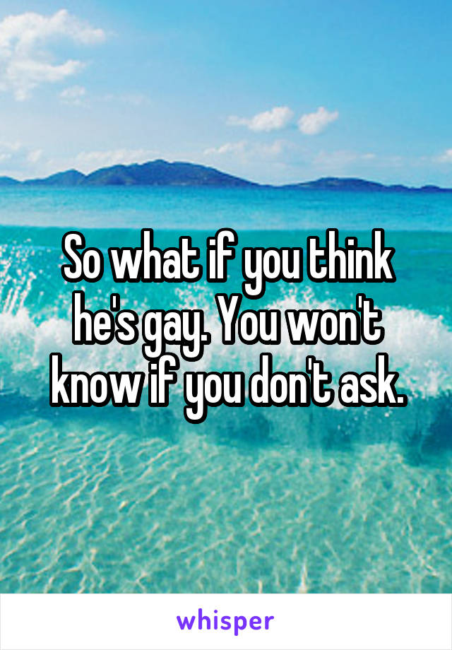 So what if you think he's gay. You won't know if you don't ask.