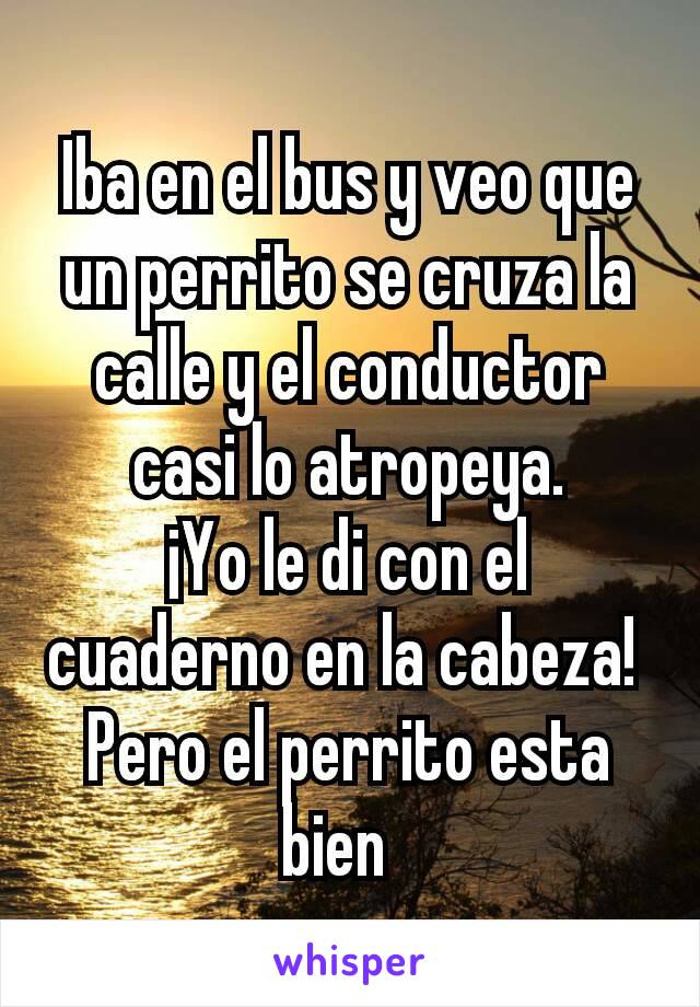 Iba en el bus y veo que un perrito se cruza la calle y el conductor casi lo atropeya.
¡Yo le di con el cuaderno en la cabeza! 
Pero el perrito esta bien  