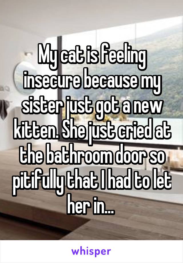 My cat is feeling insecure because my sister just got a new kitten. She just cried at the bathroom door so pitifully that I had to let her in... 