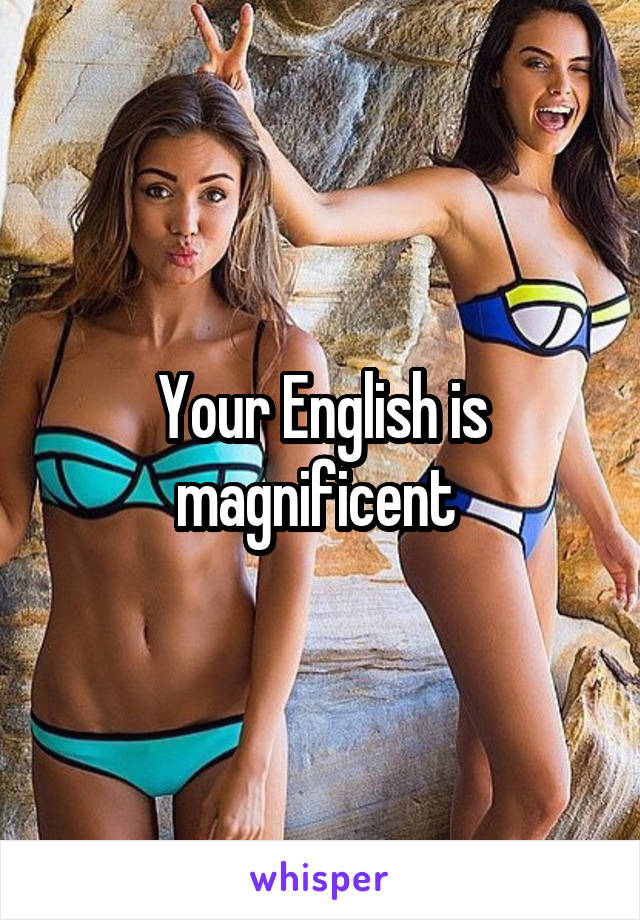 Your English is magnificent 