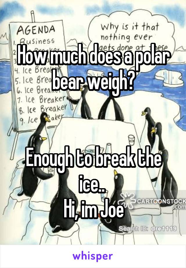 How much does a polar bear weigh?


Enough to break the ice.. 
Hi, im Joe