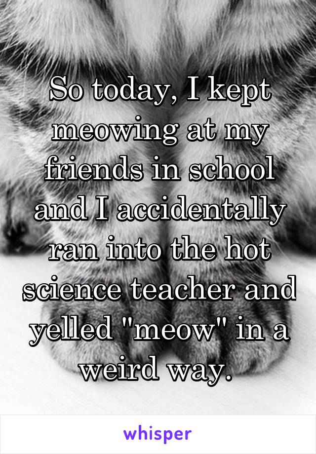 So today, I kept meowing at my friends in school and I accidentally ran into the hot science teacher and yelled "meow" in a weird way. 