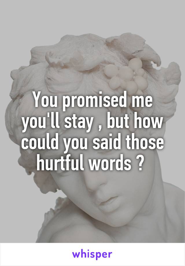 You promised me you'll stay , but how could you said those hurtful words ? 