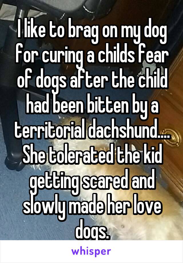 I like to brag on my dog for curing a childs fear of dogs after the child had been bitten by a territorial dachshund.... She tolerated the kid getting scared and slowly made her love dogs.