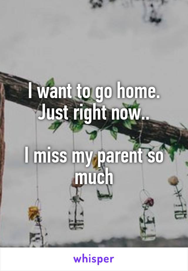 I want to go home. Just right now..

I miss my parent so much