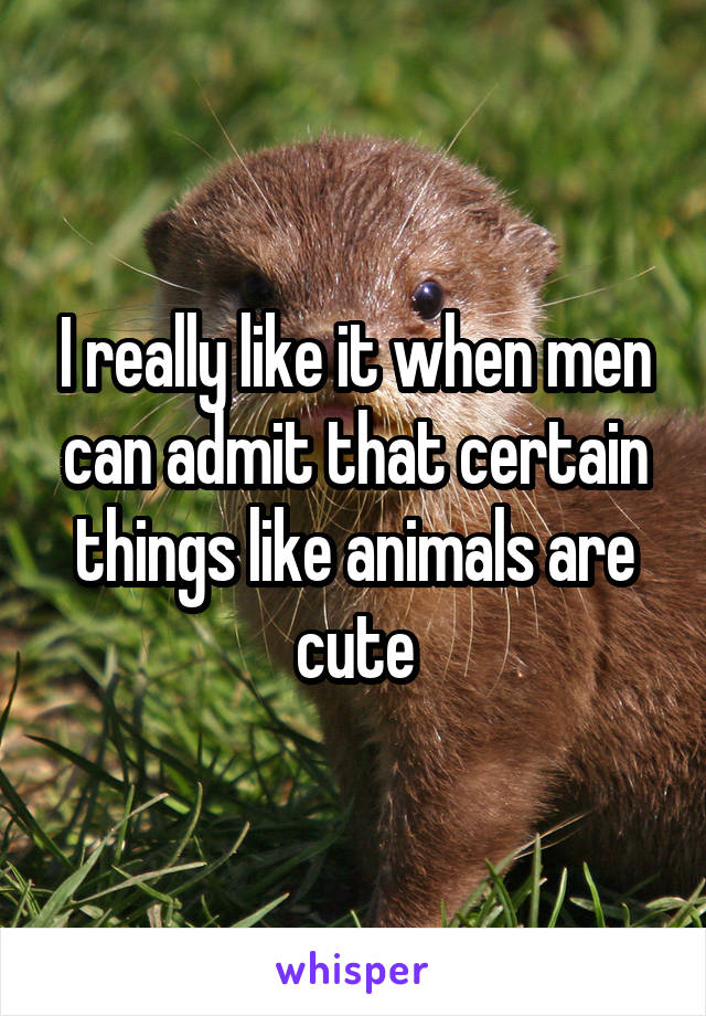 I really like it when men can admit that certain things like animals are cute