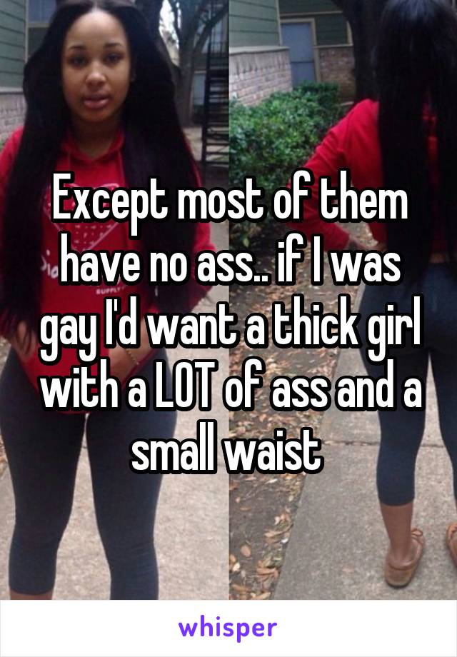 Except most of them have no ass.. if I was gay I'd want a thick girl with a LOT of ass and a small waist 