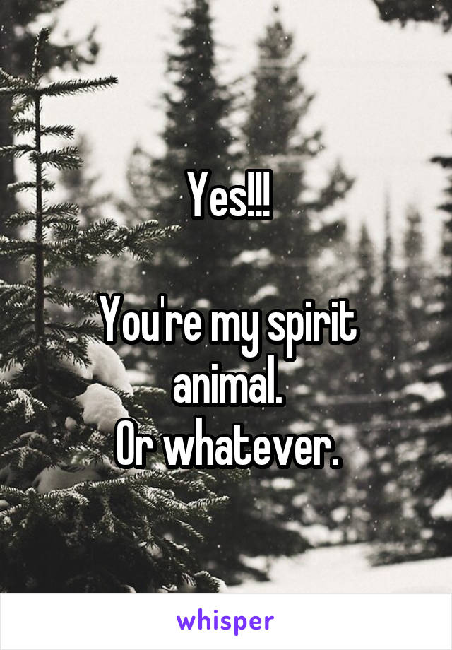 Yes!!!

You're my spirit animal.
Or whatever.