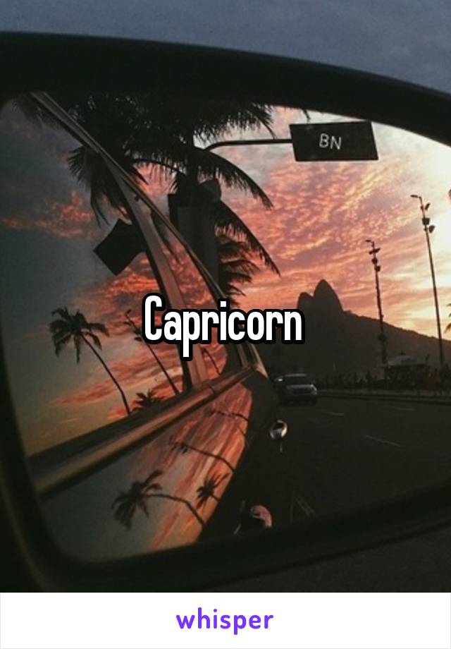 Capricorn 