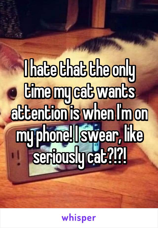 I hate that the only time my cat wants attention is when I'm on my phone! I swear, like seriously cat?!?!