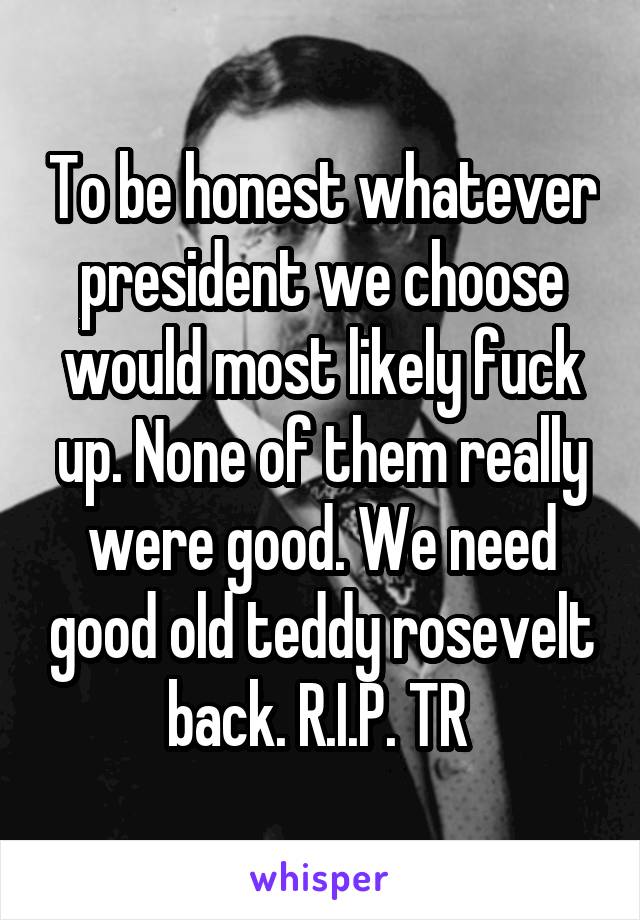 To be honest whatever president we choose would most likely fuck up. None of them really were good. We need good old teddy rosevelt back. R.I.P. TR 