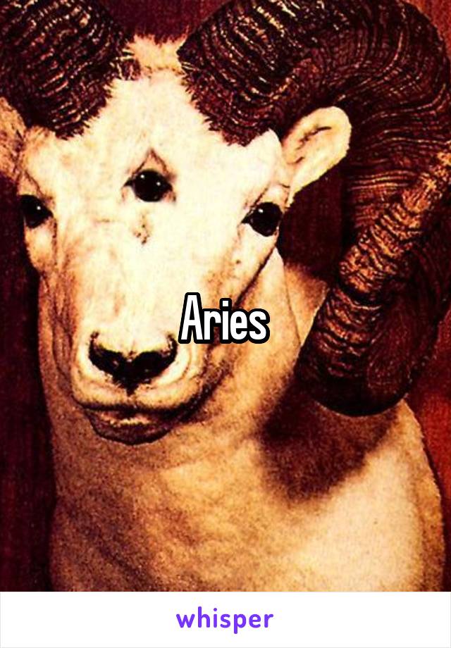 Aries 