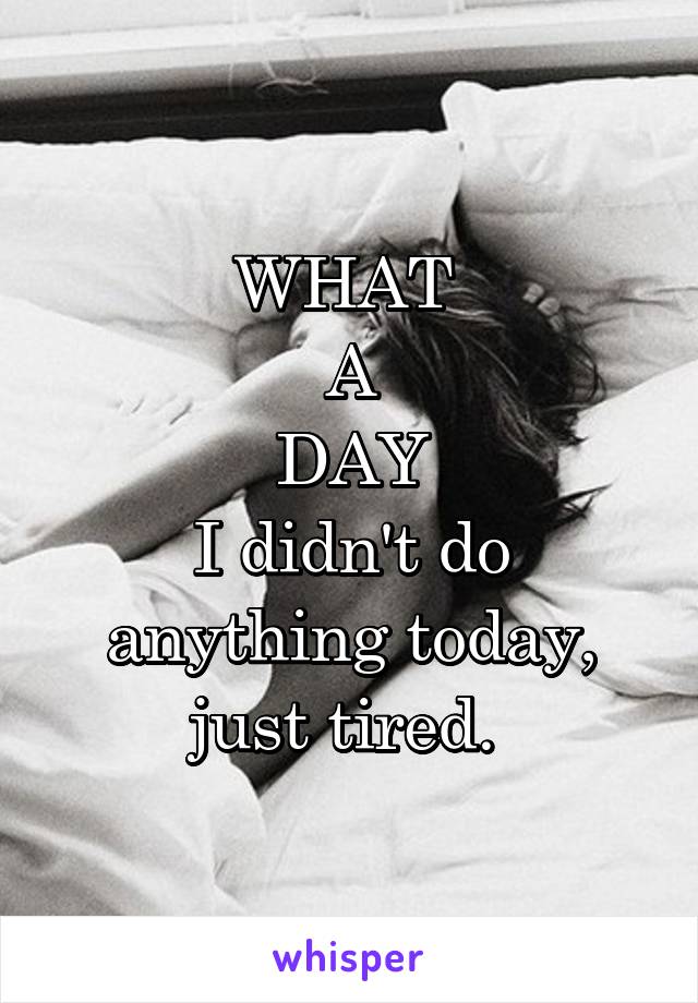 WHAT 
A
DAY
I didn't do anything today, just tired. 