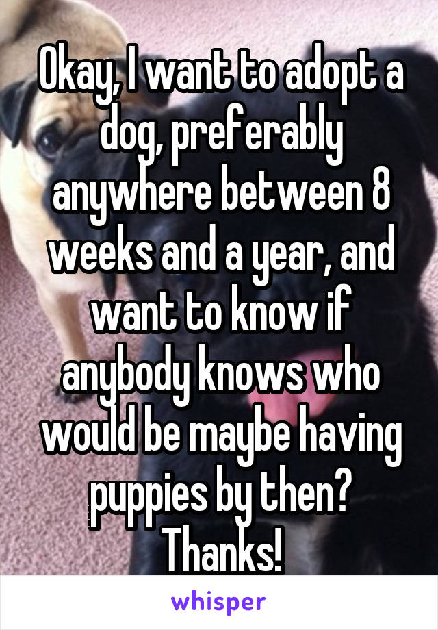 Okay, I want to adopt a dog, preferably anywhere between 8 weeks and a year, and want to know if anybody knows who would be maybe having puppies by then? Thanks!