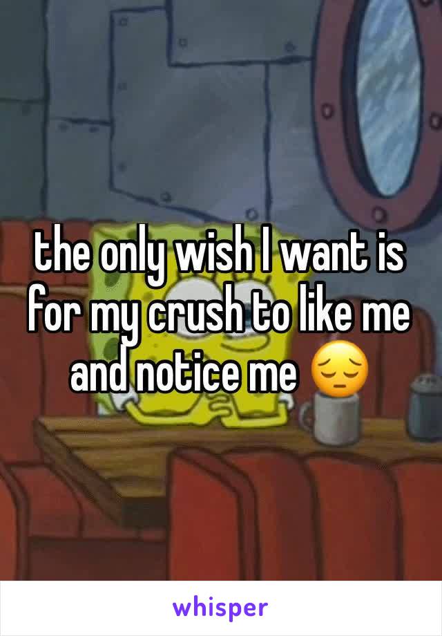 the only wish I want is for my crush to like me and notice me 😔