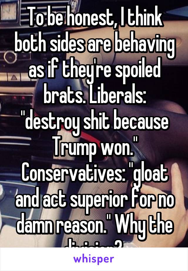 To be honest, I think both sides are behaving as if they're spoiled brats. Liberals: "destroy shit because Trump won." Conservatives: "gloat and act superior for no damn reason." Why the division? 